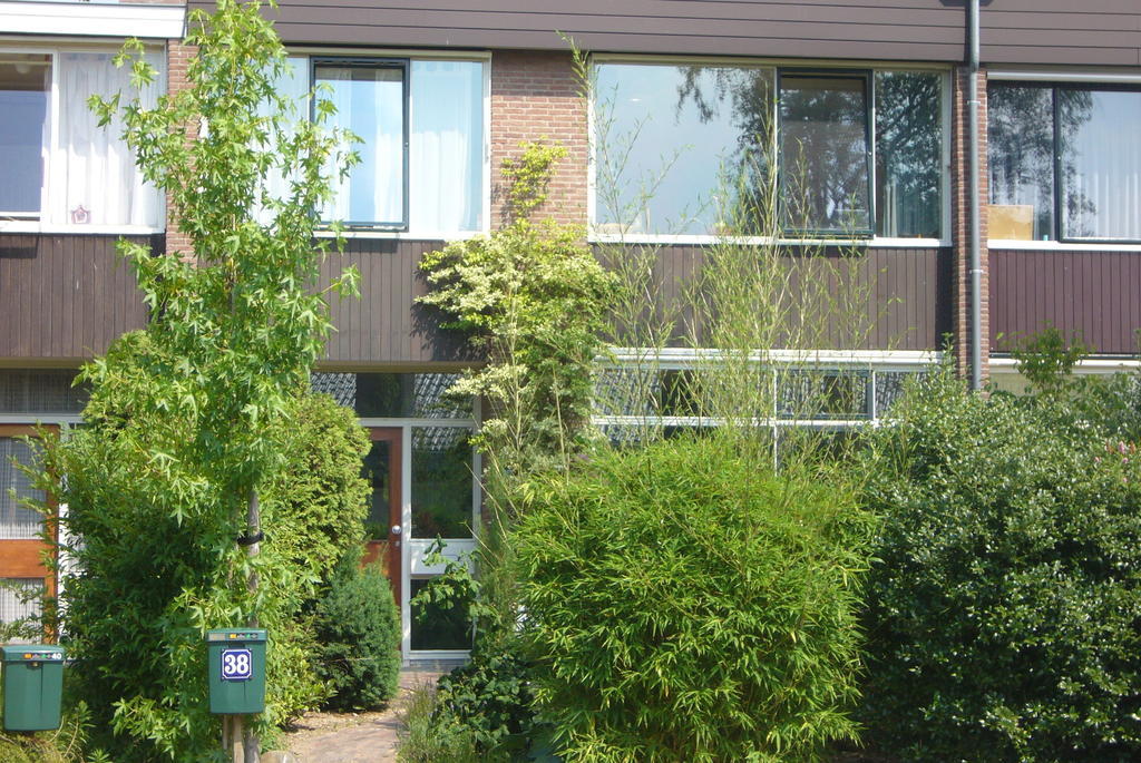 B&B Heijendaal Nijmegen Quarto foto